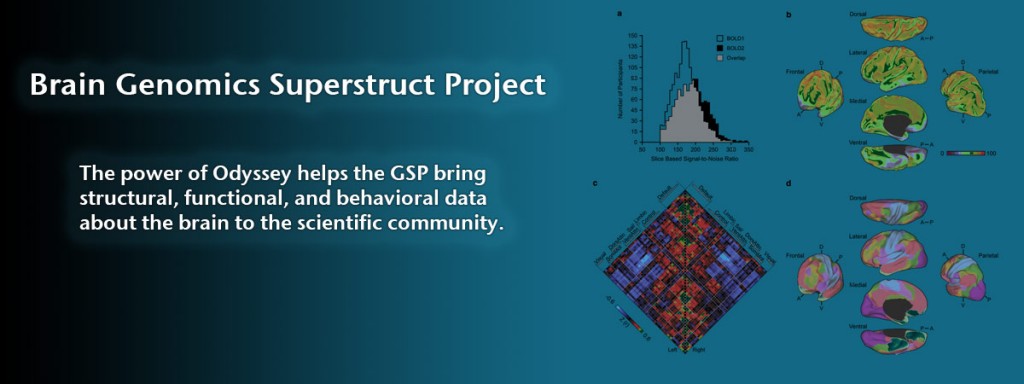 BRAIN GENOMICS SUPERSTRUCT PROJECT (Nature/Scientific Data)